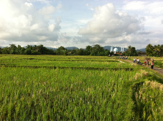 Simple pleasures at Yeh Sumbul. Simple pleasures at Yeh Sumbul.