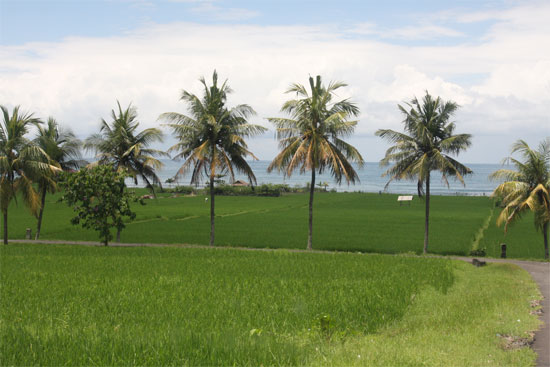 Beach scenes near Pekutatan on another, sunnier, visit. Beach scenes near Pekutatan on another, sunnier, visit.