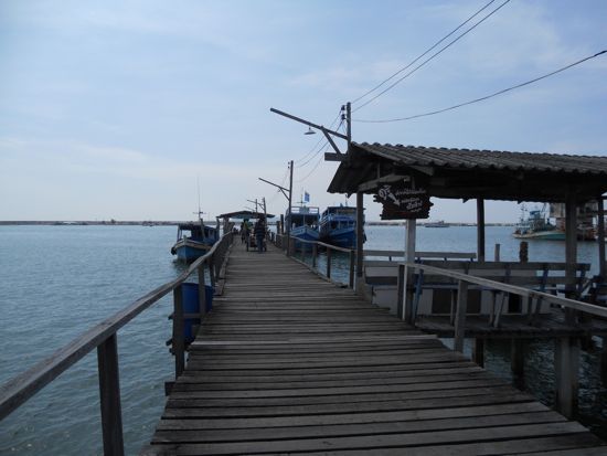 DSCN0866