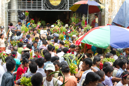 Flowers are a token offering - this is where the flower shops are