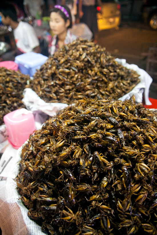 Cricket vendors in Chinatown threaten to let loose all their crickets in protest