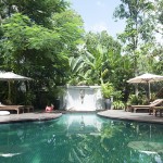 RiverGarden's Jungle Pool