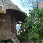 Mushroom Point beach bungalows, Otres Beach, Sihanoukville Cambodia