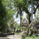 Siem Reap village near Hariharalaya - too gorgeous not to stay