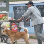 fruit vendor on Serendipity Road, Sihanoukville Cambodia