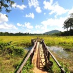 Far from the madding crowds: The wetlands walk at Banteay Srei