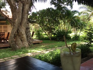 Sitting pretty at Cafe Moi Moi