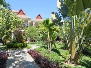 Meandering paths lead through lush tropical gardens at The Sonalong