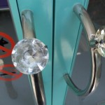 No dogs. No smoking. But a big yes to bling.