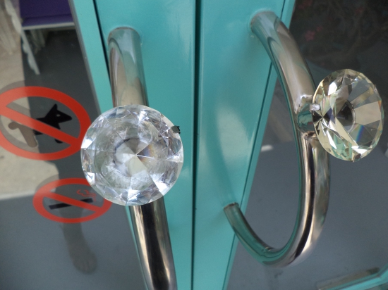 No dogs. No smoking. But a big yes to bling.