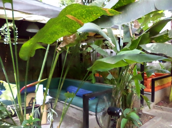 Take a seat in the jungle.