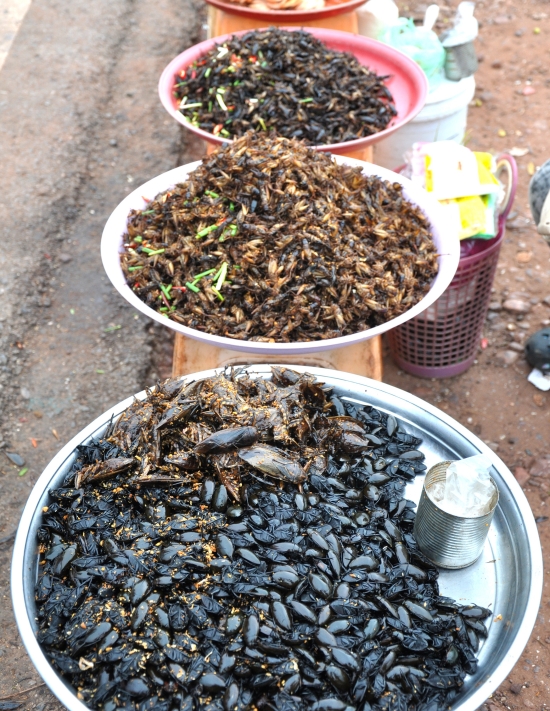 All kinds of edible bugs and beetles are on offer at the Siem Reap funfair.