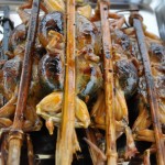 Spawn-stuffed frogs - almost good enough to eat.