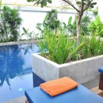 Small but perfectly formed, The Landing Point's boutique swimming pool.