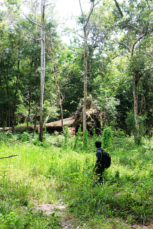 Hike to hidden temples on Phnom Kulen