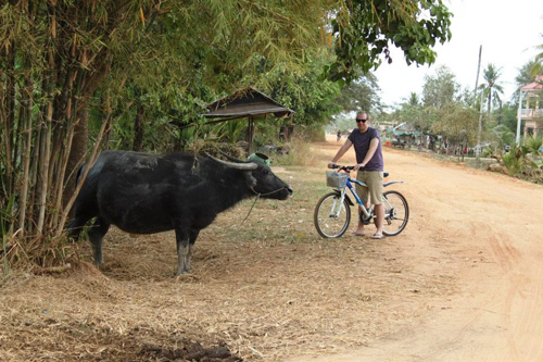 Expect traffic on a bike ride