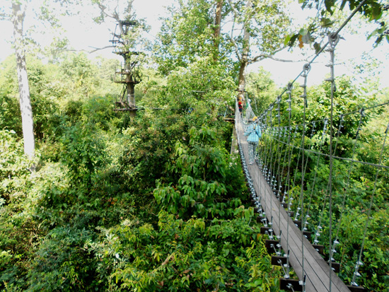 It's a jungle out there.