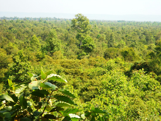 Kulen Mountain, in the distance.