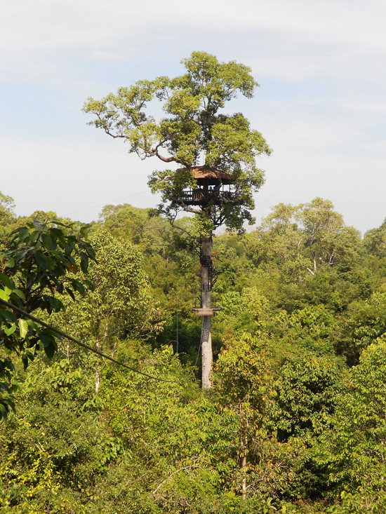 Tree house lookout.