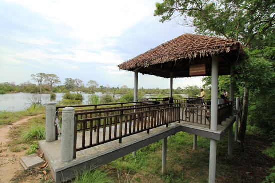 The lookout point,
