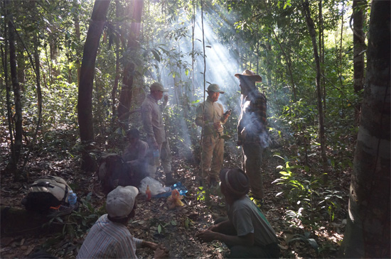 A jungle meeting.