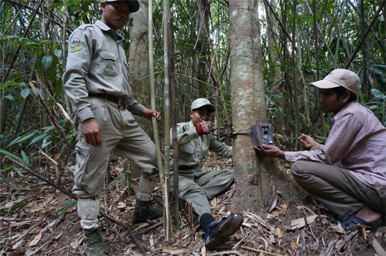 Rangers setting a trap.