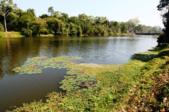 Take a boat around the moat.