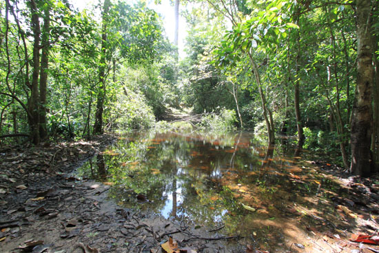 The path to Krol Romeas. When flooded, this is as far as you can get.