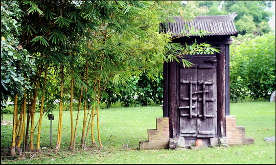 Some fun garden decor Some fun garden decor