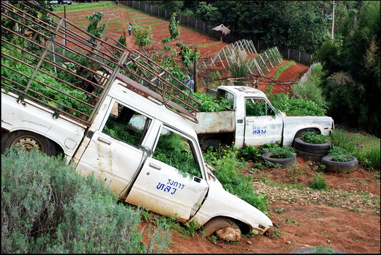 Unusual and imaginative garden features! Unusual and imaginative garden features!