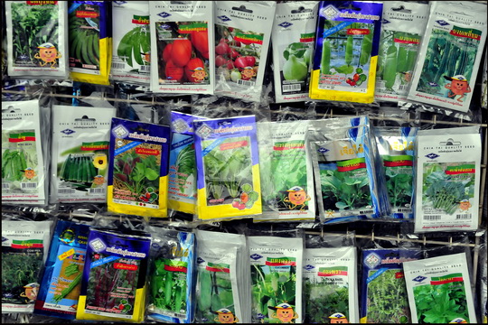 Grow your own Grow your own
