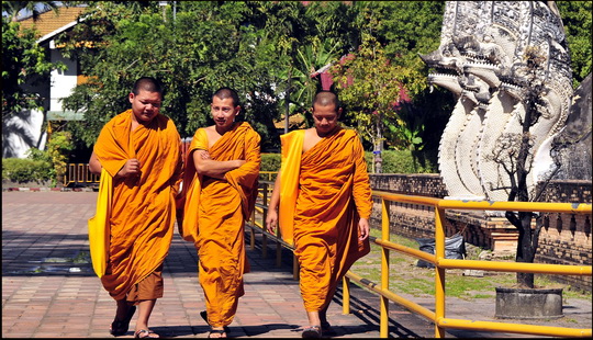 Young monks heading to the chat room Young monks heading to the chat room