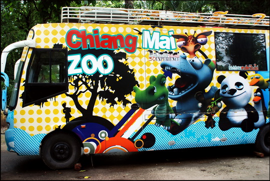 Going to the zoo, zoo... Going to the zoo, zoo...