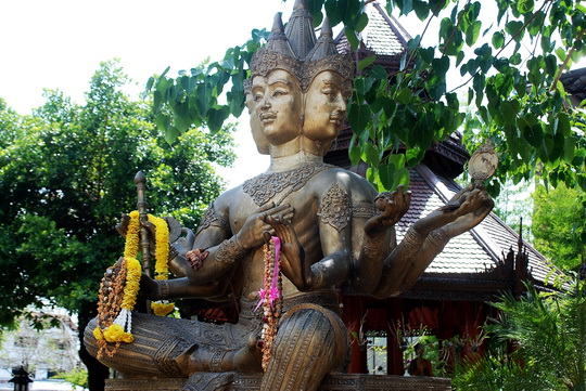 Brahma in the garden Brahma in the garden