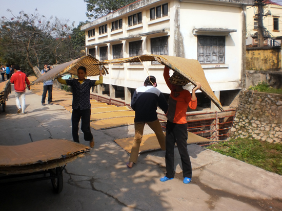 Transporting the dried sheets Transporting the dried sheets