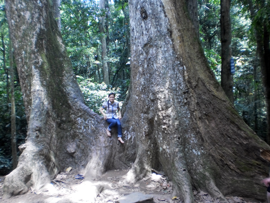 It does say no climbing on the tree... It does say no climbing on the tree...