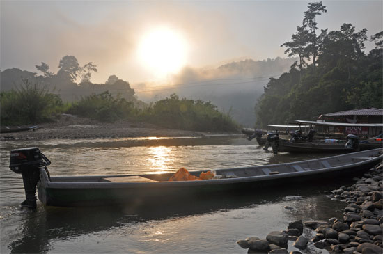 Morning at Kuala Taham looking across to Taman Negara National Park. Morning at Kuala Taham looking across to Taman Negara National Park.