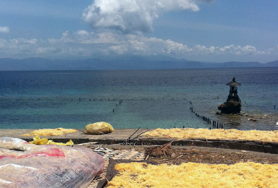 Looking toward Bali's Gunung Agung from seaweed-rich Nusa Penida. Looking toward Bali's Gunung Agung from seaweed-rich Nusa Penida.