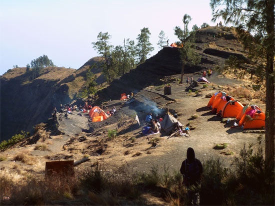 Camp 1 - Lux not. Camp 1 - Lux not.