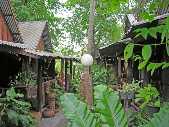 Jungle atmosphere at No. 4. Jungle atmosphere at No. 4.