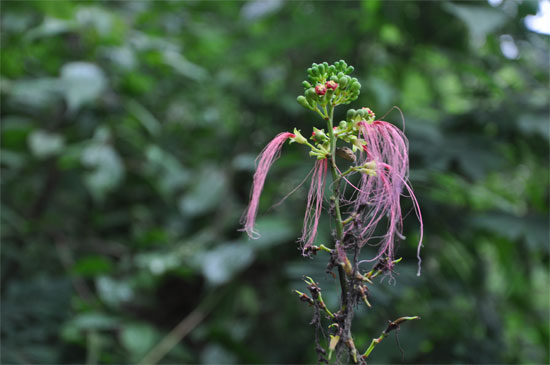 Pretty everywhere.