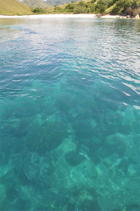 Amazing visibility.