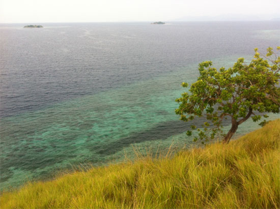 Seraya's house reef.