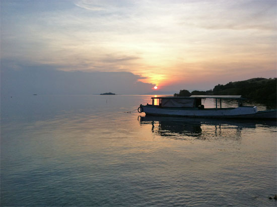 Good morning Seraya.