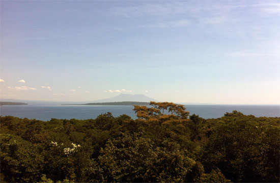 View of Menjangan Island from the tower. View of Menjangan Island from the tower.