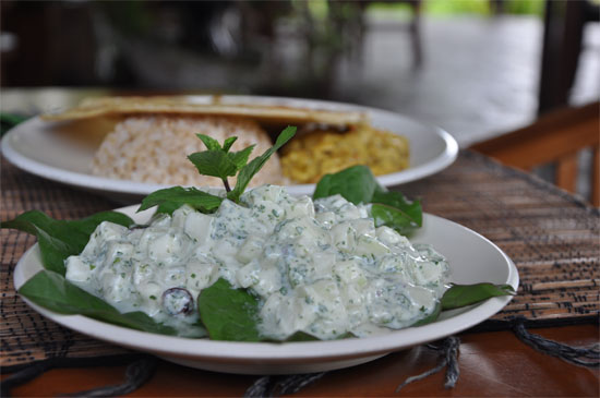 Cashew nut curry served with steamed rice, roti, chickpea and cashew nut patties and cucumber salad with yoghurt, mint, cinnamon and raisins. 68,000 rupiah.