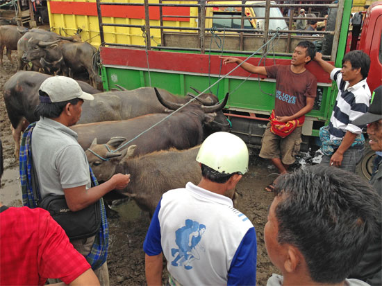 Haggling before a crowd.