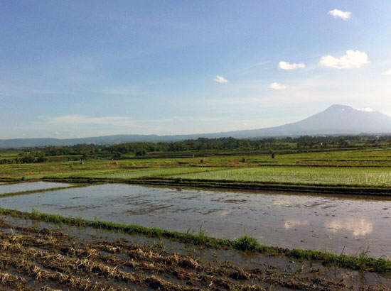 Bali in a nutshell. Bali in a nutshell.