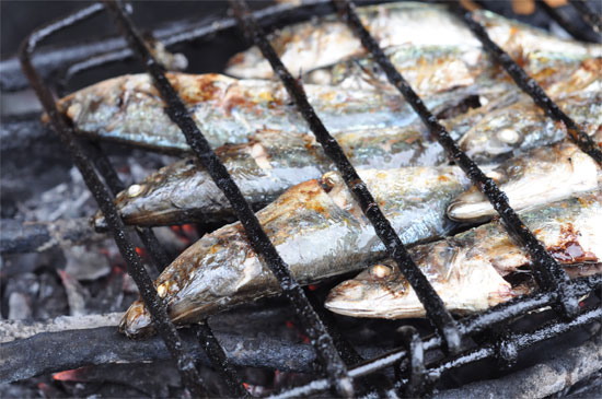Little ikan in Gorontalo,