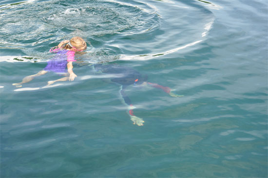 Snorkelling with stingless jellyfish.